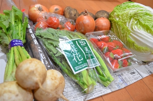 らでぃっしゅぼーやの野菜