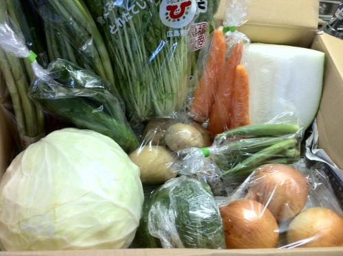 楽天市場の宅配野菜！江木食品さんで再び宅配野菜を注文しました！