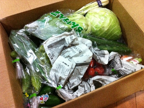 楽天市場の宅配野菜！江木食品さんから野菜のセットが届きました！