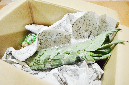 宮崎の宅配野菜