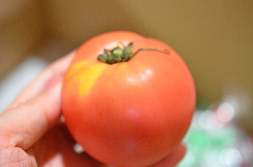 宮崎の宅配野菜「百姓隊の宮崎情熱野菜セット」