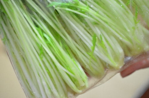 良菜健暮の宅配野菜