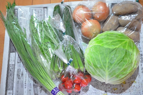 良菜健暮の宅配野菜