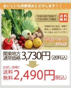 やおパック　初回限定