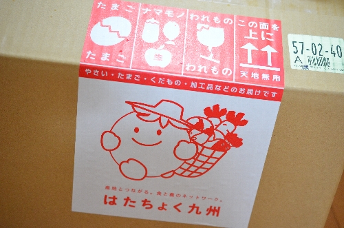 はたちょく九州の宅配野菜