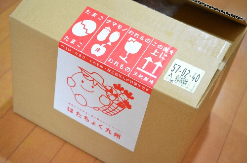 はたちょく九州の宅配野菜