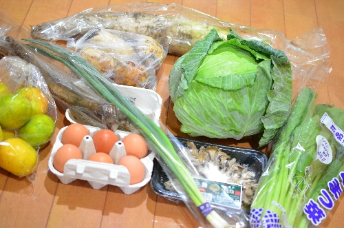 はたちょく九州の宅配野菜