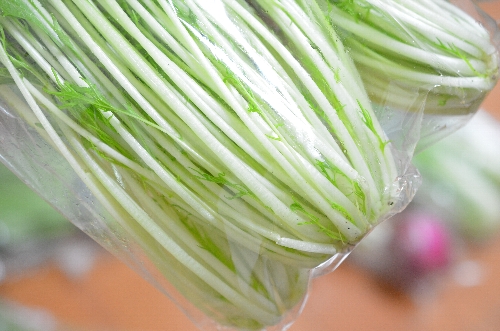 江木食品　野菜の鮮度