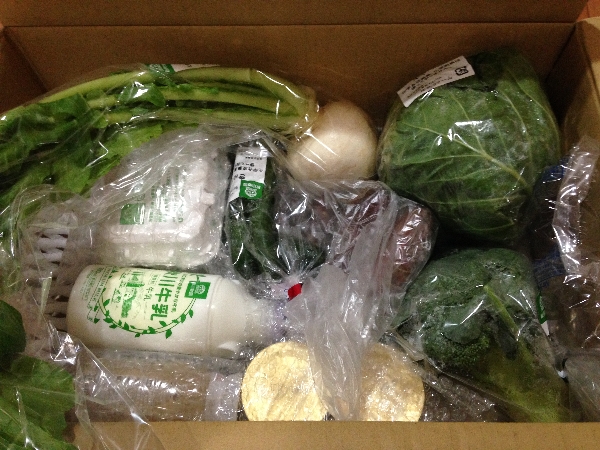 秋川牧園の山口県産の宅配野菜のお試しセットを注文してみたので口コミを紹介！
