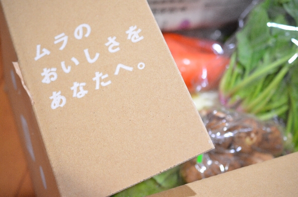 九州ムラコレ市場の田舎野菜定期便をお試ししてみた口コミを紹介します！