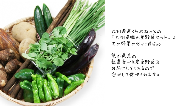 九州産直くらぶねっとの「九州有機の里野菜セット」