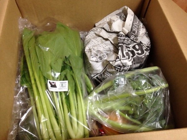 九州産直くらぶねっとの「九州有機の里野菜セット」の口コミを紹介します！