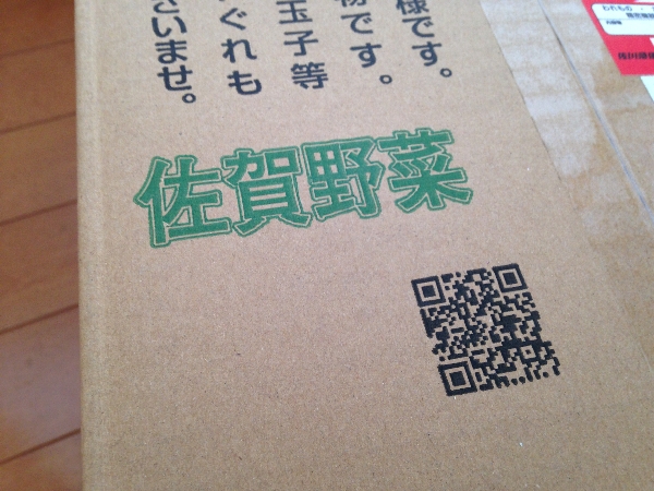 楽天市場の佐賀野菜で、旬の九州野菜13品目の宅配野菜を注文してみました！