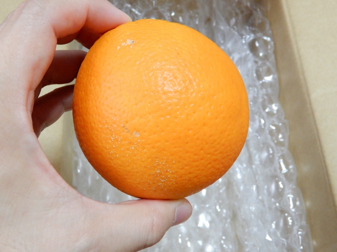 オイシックスのネーブルオレンジ