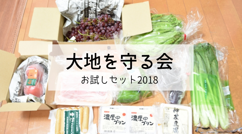 大地を守る会食材セット