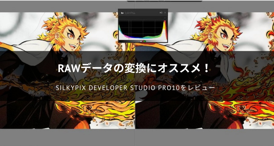 SILKYPIX Developer Studio Pro10をレビュー