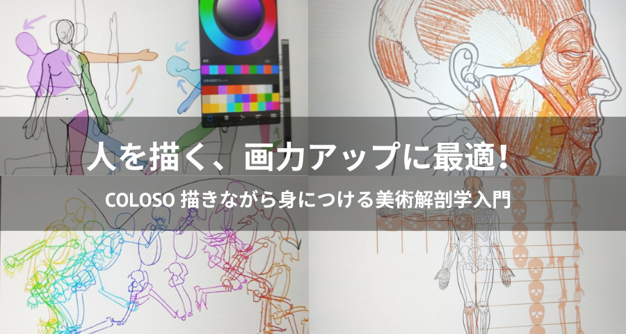 Coloso「描きながら身につける美術解剖学入門」