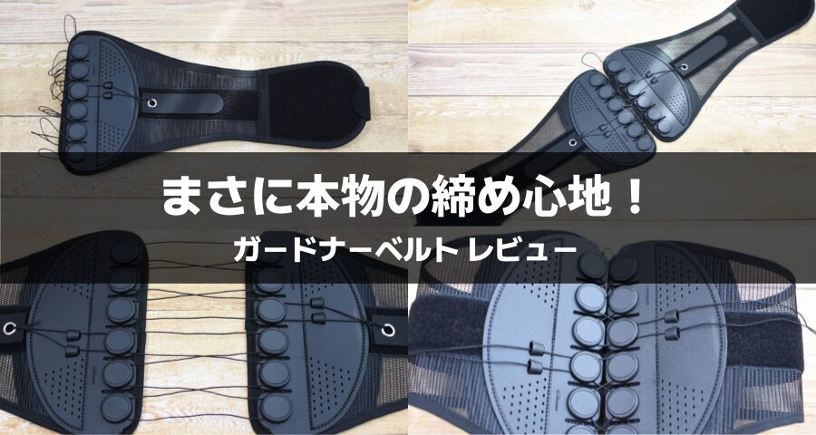 ガードナーベルト