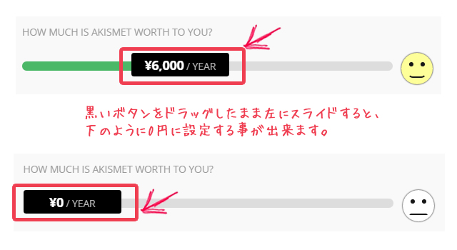 akismetの設定画面
